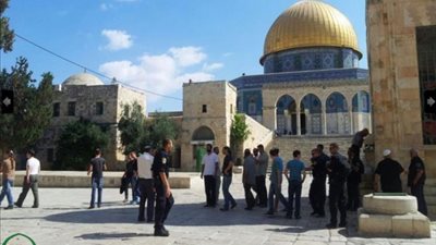 مستوطنون يتعمدون انتهاك الأقصى تحت حراسة قوات الاحتلال