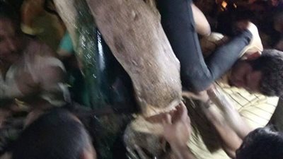 فيديو و صور.. أمن القاهرة ينقذ طفلة من أعلى شجرة في حديقة ميدان قصر عابدين 
