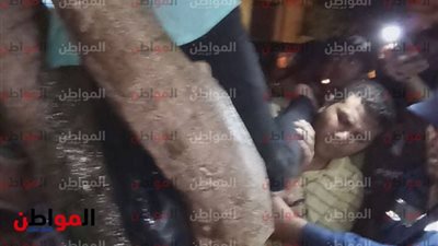 فيديو.. انقاذ طفلة من أعلى شجرة بحديقة قصر عابدين 