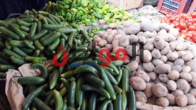 قبل عيد الأضحى المبارك 2018.. ارتفاع أسعار الخضروات والفاكهة بـ أسواق كفر الشيخ