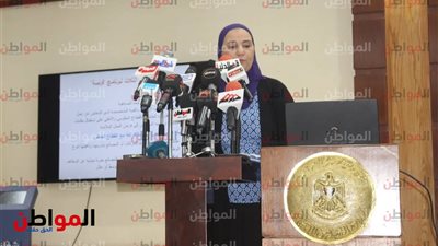 فيديو.. نائب وزير التضامن: أولوية لتشغيل ودمج  ذوي الاعاقة ضمن برامج 