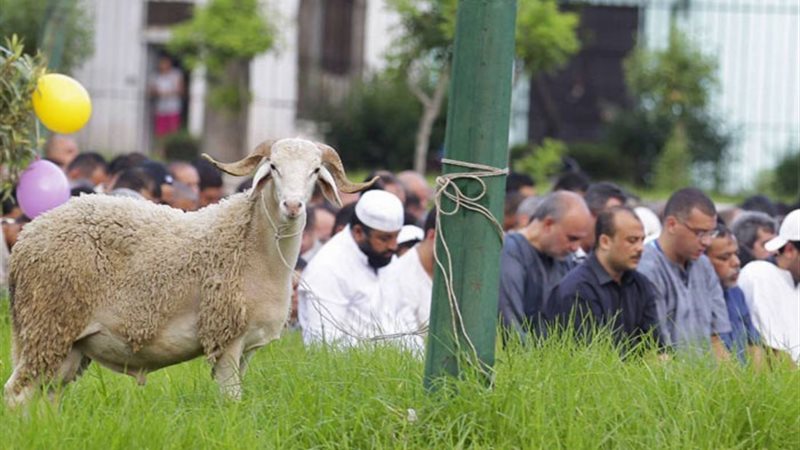 عيد الأضحى