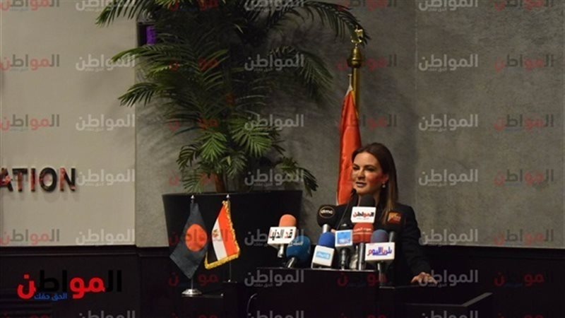 وزيرة الاستثمار 