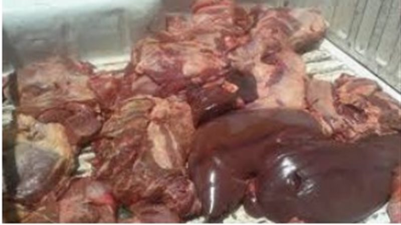 لحوم منتهية الصلاحية-البحيرة