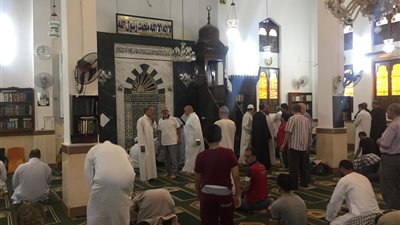 فيديو.. 