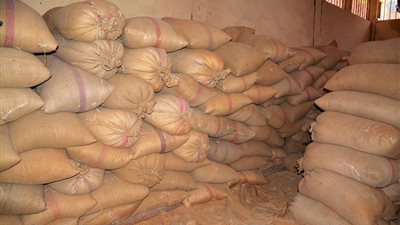 ضبط 25 طن قمح بلدي بدون مصدر بـ الفيوم 