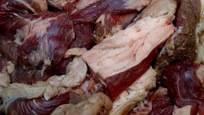 قبل عيد الأضحى.. ضبط 523 كيلو لحوم فاسدة في حملات بيطرية بـ الشرقية