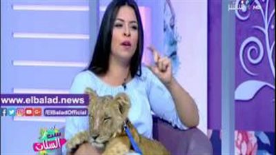 بالفيديو.. أسد يلتهم «مايك ست الستات» على الهواء