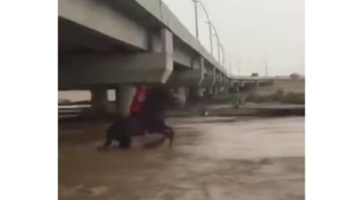 شاهد| نهاية مؤلمة لشاب حاول تحدي سيل بحصانه 