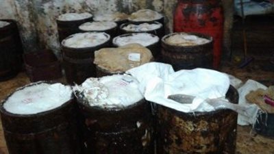 ضبط 12 طنًا من الأسماك الغير صالحة لـ الإستخدام بـ كفر الشيخ