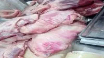 قبل عيد الأضحى 2018.. ضبط 8 طن هياكل دواجن فاسدة بـ البحيرة