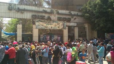 فيديو.. نائب وزير الزراعة: لا زيادة في أسعار تذاكر حديقة الحيوان  