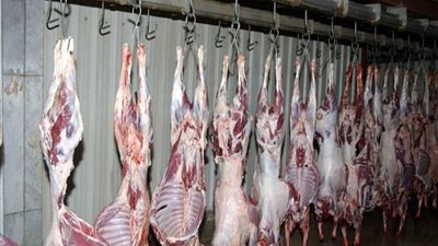 مدير عام مجازر كفرالشيخ لـ
