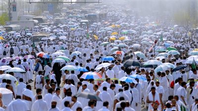 غدًا.. بث مباشر لـ شعائر وقفة عرفات من الأراضي المقدسة 