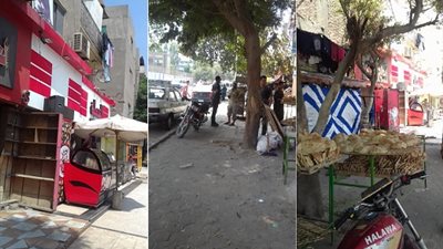 صور.. حملة مكبرة لإزالة التعديات والإشغالات بـ حي المعصرة