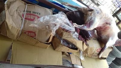 ضبط ١٥٤ كيلو كبده فاسدة بـ شبين القناطر