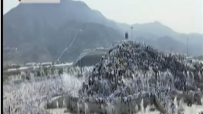 فيديو.. قنصل مصر بـ جدة: عملية تفويج الحجاج لـ عرفات تمت بنجاح