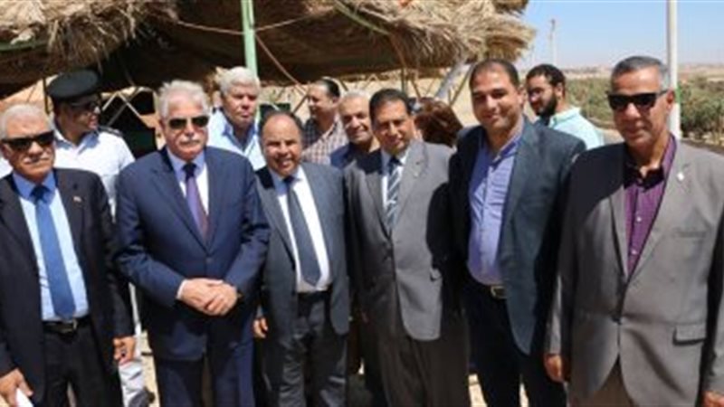 جوبة وزير المالية