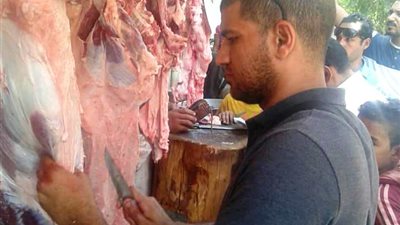 تحرير 21 محضر مخالفات تموينية وصحية متنوعة في حملة مكبرة بمركز ومدينة ساقلتة
