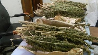 القبض على عاطل بحوزته ربع كيلو بانجو في القليوبية