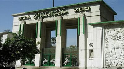 حقيقة رفع سعر تذكرة حديقة الحيوان في عيد الأضحى  