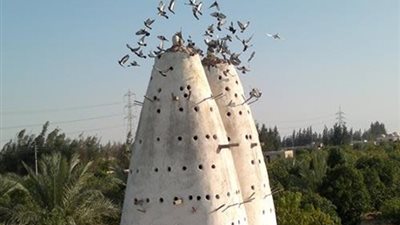 أول أيام عيد الأضحى 2018.. طقس معتدل في الفيوم