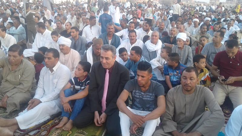 رئيس مدينة طامية
