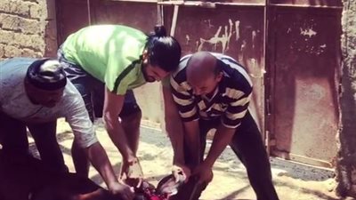 فيديو..عرفة السيد لاعب إنبي يضحي في العيد