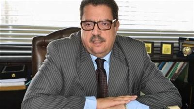 أمين عام حزب الغد: الدولة المصرية تواجه تحديات غير مسبوقة‎