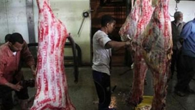 سكرتير عام الغربية يتفقد سير العمل بمجازر المحافظة في أول أيام عيد الأضحى 2018
