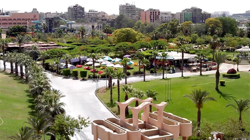 الحديقة اليابانية