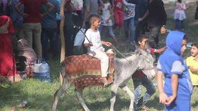 صور..  آلاف الزائرين يحتفلون بثاني أيام عيد الأضحى وسط حدائق القناطر الخيرية