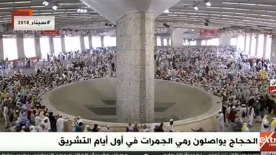 فيديو.. الإفتاء : المحافظة على أرواح الحجيج واجب شرعي 