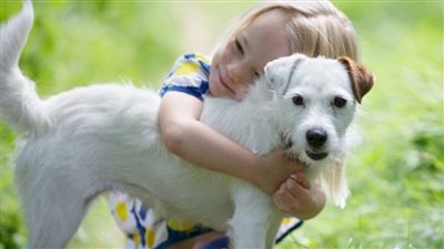 لمحبي الحيوانات الأليفة.. نرصد أسعار الكلاب وأفضل أنواعها 