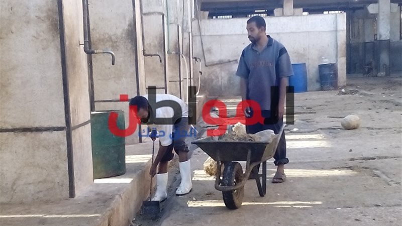 عمال المجازر-سوهاج