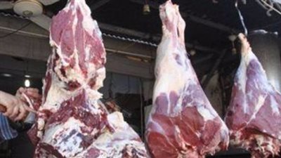 توزيع لحوم 7 عجول على الفقراء والمحتاجين في واحة الفرافرة 