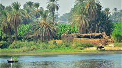 طقس معتدل على أنحاء الفيوم اليوم السبت