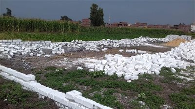 رئيس مدينة دسوق: التصدي لـ حالتي تعدي على الأراضي الزراعية