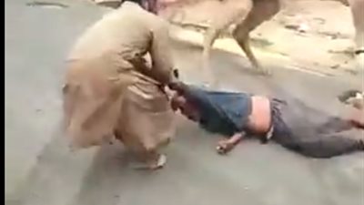 فيديو.. ضربة واحدة من هذا الجمل أسقطت رجلا
