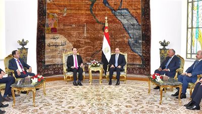 الرئيس السيسي: عقد الدورة السادسة للجنة الوزارية مع الجانب الفيتنامي في 2019