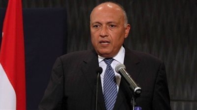 وزير الخارجية ورئيس المخابرات العامة يناقشان أزمة سد النهضة في أديس أبابا