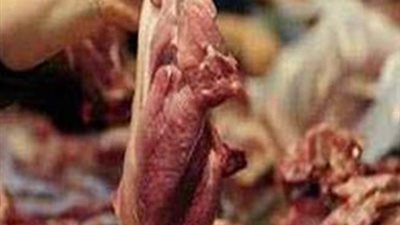 أمن القليوبية يضبط مصنعًا لـ إنتاج اللحوم الفاسدة بـ شبرا الخيمة