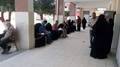 صور.. انطلاق الحملة القومية للقضاء على 