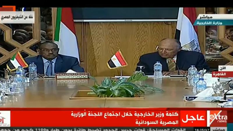 سانح  شكري ونظيره