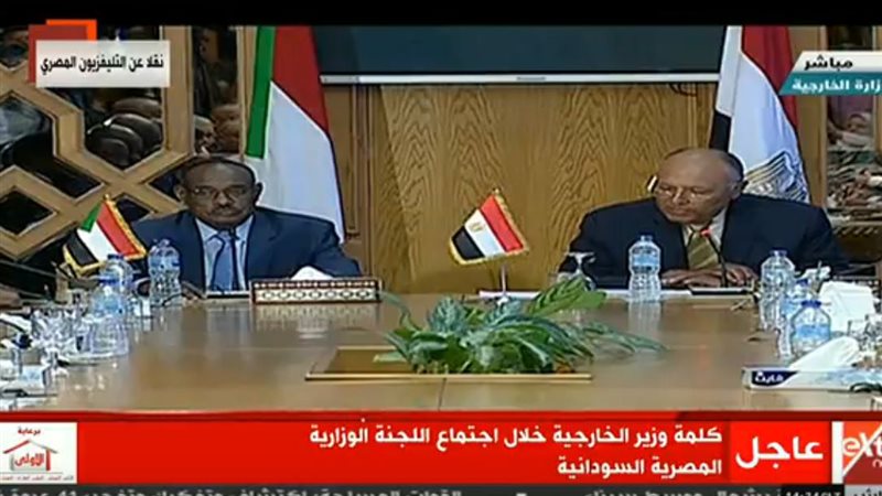 سامح  شكري وزير الخارجية