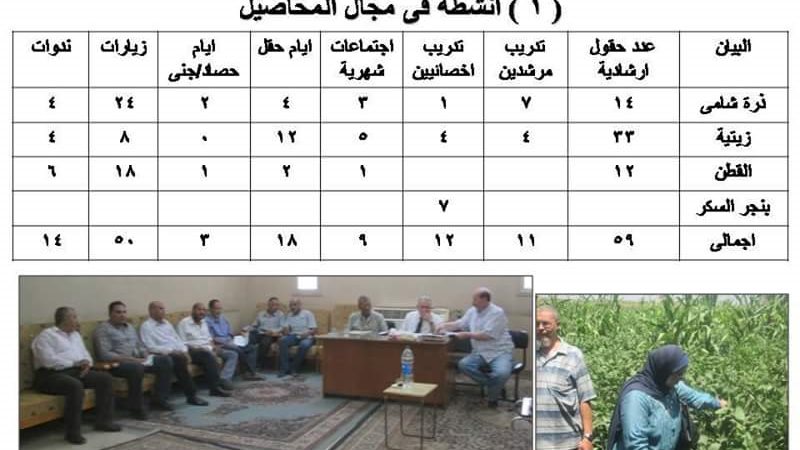زراعة بنى سويف