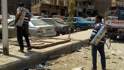 صور.. حملة لمكافحة الذباب البالغ بـ الخصوص
