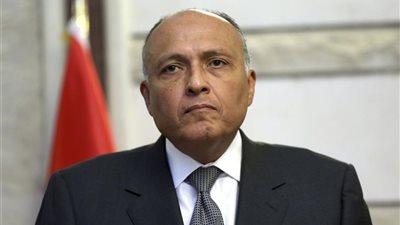 عاجل.. وزير الخارجية يؤكد أهمية وضع رؤية مشتركة مع إثيوبيا لقضايا سد النهضة