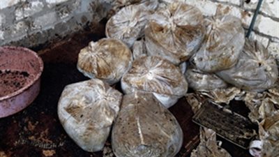 ضبط صاحب مصنع بدون ترخيص لتصنيع المعسل بدائرة مركز شرطة دمنهور