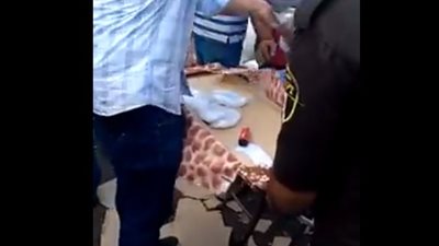 شاهد .. أغرب طرق تهريب المخدرات عبر حدود البلاد